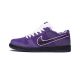 Replica Concepts x Nike SB Dunk Low 